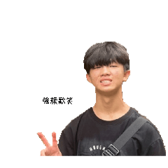 翻車啦