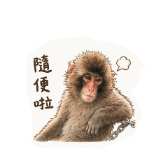 猴山里長伯加油