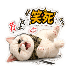 想吐槽