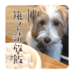 烏米主人好無聊