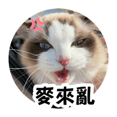 Lukaka暴躁日常
