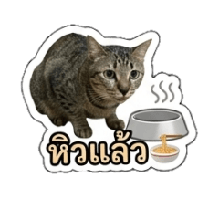 Natto_20260626105008