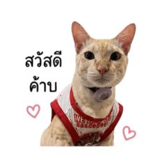 Khun Meeyou V.1