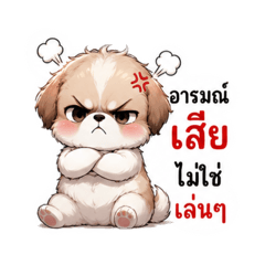 YODYING_20260627180228