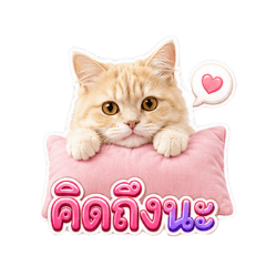 Happy Sticker Shop_20260627172958