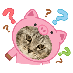 Jggguar