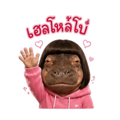 YIMMIY_KANGKAK