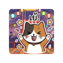A very mischievous calico cat