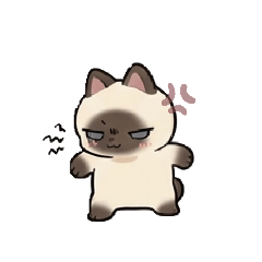 Thai cat funny14