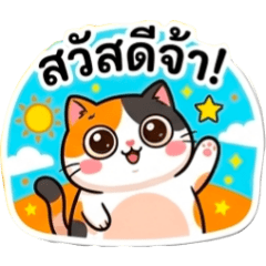 Temthi Chanel_20260802103823