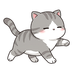 Chubby Tabby Cat Funny Daily