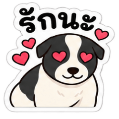 Pandada_Pawfect
