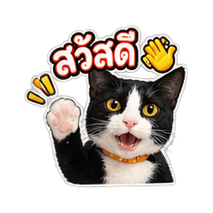 4 Cool Cats