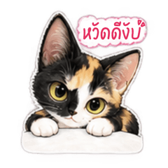 Sabai 1