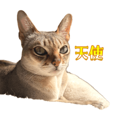 mayu_20260814084850