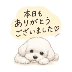 yuka_20260814123208