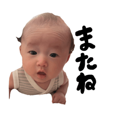 Sskh_20260814133004