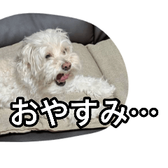 kota7_20260814133052
