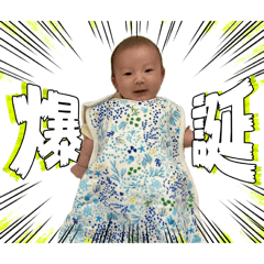 boj.ak_20260814125516