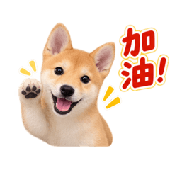 布丁啵啵2