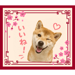 yumi_20260814133742