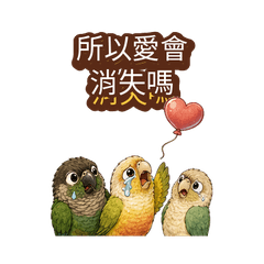 Parrot Trio Silly Romance