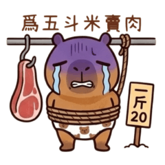 内裤水豚31棕熊小裤裤