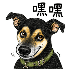 Aji Daily Chat Reactions Vol. 11