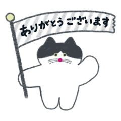 丁寧なハチワレねこ。