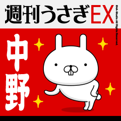 "Nakano" Name Feature - Showa