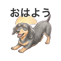 yuka_20260814153725