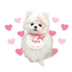 ruru_20260814204804