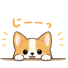 Risa_20260814211329