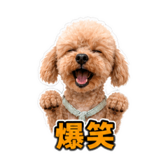 Fukkun-20260814
