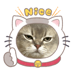 naho_20260814191227