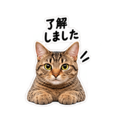 bischan_20260814204408