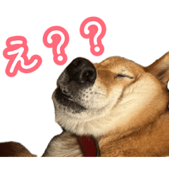 anchan_20260814211823