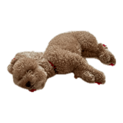 fff_20260814212104
