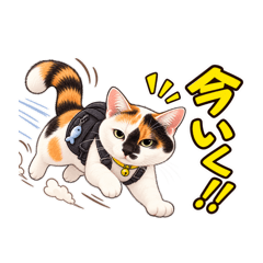 moku_20260814202706