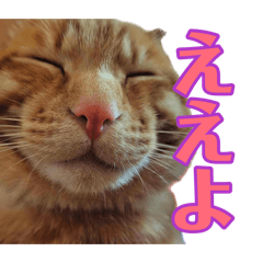 Kana_20260814224500