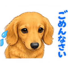 Rin.haru4