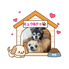 miyu_20260815105149