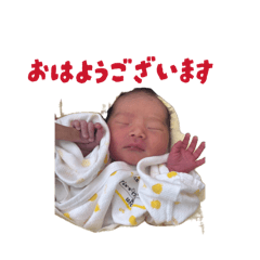 shuto_20260814220046