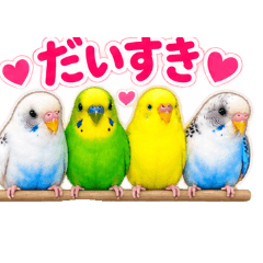 hiromi_20260814215522