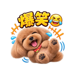 Toypoo_MOCA2
