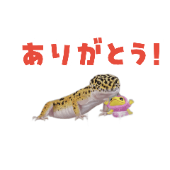 sanchan_20260815014120