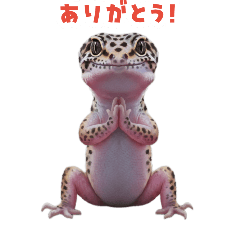 sanchan_20260815013920