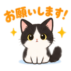supi_20260814221501