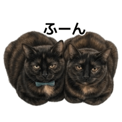 サビ猫めめばす（基本）