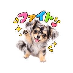 yu_20260814225636
